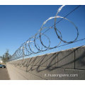 Razor Wire recinzione per la sicurezza dell'aeroporto (AF-08)
